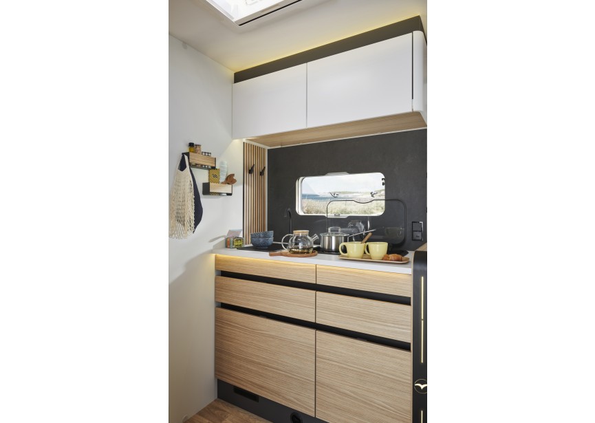 Pilote P690D Expression